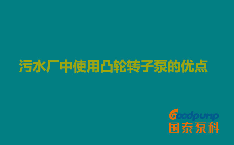 污水厂中使用凸轮转子泵的优点